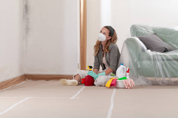 Reliable Commercial Mold Remediation contractor in Reedville, VA by WQB Mold Removal